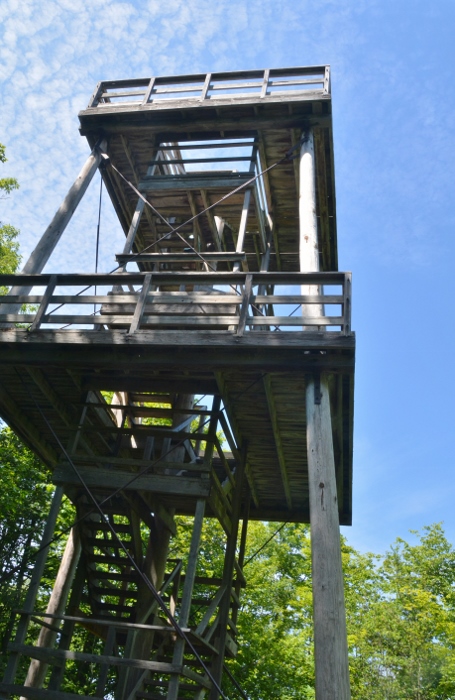 the tower